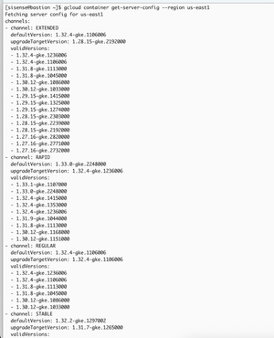 Terminal window showing GCloud command output for server config in the us-east1 region, listing server channels: EXTENDED, RAPID, REGULAR, and STABLE with default and upgrade target versions, and valid versions for each channel.