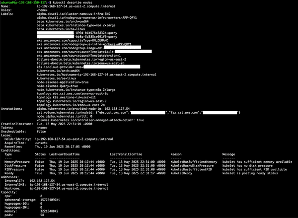 Alt text: A terminal screen displaying output from the command 