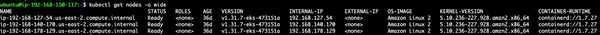 Terminal window displaying Kubernetes nodes list with details: names, status (Ready), role (none), age (36d), version, IPs, OS, and kernel version.