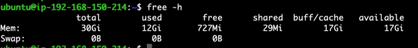 Terminal screenshot showing memory usage. Total memory is 30Gi, with 12Gi used and 727Mi free. Swap memory is not used. Command prompt visible.