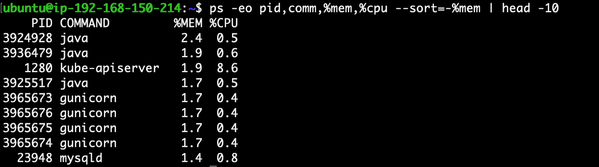Terminal displaying a command to list processes sorted by memory usage. Java and gunicorn processes dominate the top entries with their respective PIDs.