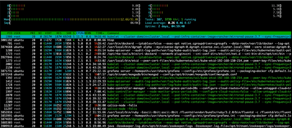 Alt text: "A terminal screenshot displaying a system monitoring tool. It shows CPU and memory usage graphs at the top, followed by a list with columns for PID, user, CPU usage, memory usage, and running processes with names and commands. The text is color-coded, indicating various resource usage metrics, creating a technical and data-driven atmosphere."