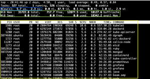 Terminal screenshot displaying system performance via the "top" command. Shows CPU, memory usage, and running processes with details like PID and %CPU.