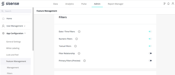 Alt text: "Screenshot of Sisense admin panel showing filter management options. Toggle switches are shown for Date/Time, Numeric, Textual, and Primary Filters."