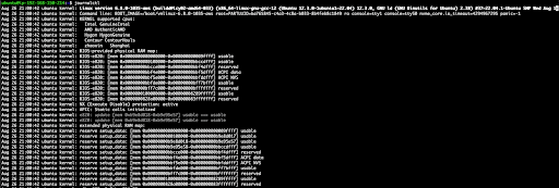 Terminal screen displaying Linux boot log. Includes kernel version, system initialization messages, and hardware details on a black background.
