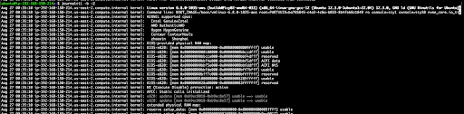 Alt text: A computer screen displays a Linux boot log in a terminal window. The text is mostly white with some lines in green and contains technical information about kernel startup, CPU details, and memory addresses. The overall tone is technical and data-focused.