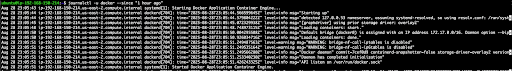 Console screenshot displaying logs of Docker application containers starting, with timestamps and process details in green and white text on a black background.