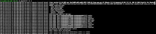 Alt text: A black screen displays white and green text, resembling a Linux terminal log. Commands and system information are listed, indicating a system boot process.