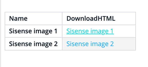 A simple table with two columns labeled "Name" and "DownloadHTML." Rows list "Sisense image 1" and "Sisense image 2" with clickable links in blue.