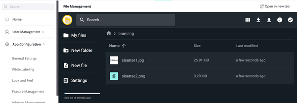 Alt text: "File management interface displaying two image files, 'sisense1.jpg' and 'sisense2.png,' in a folder named 'branding.' Sidebar shows navigation options including Home, User Management, and App Configuration. Modern web interface design with a dark theme."